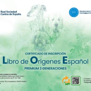 PedigreeRSCE Premium (LOE) 3 generaciones CON TRANSFERENCIA