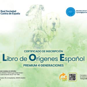 PedigreeRSCE Premium (LOE) 4 generaciones CON TRANSFERENCIA