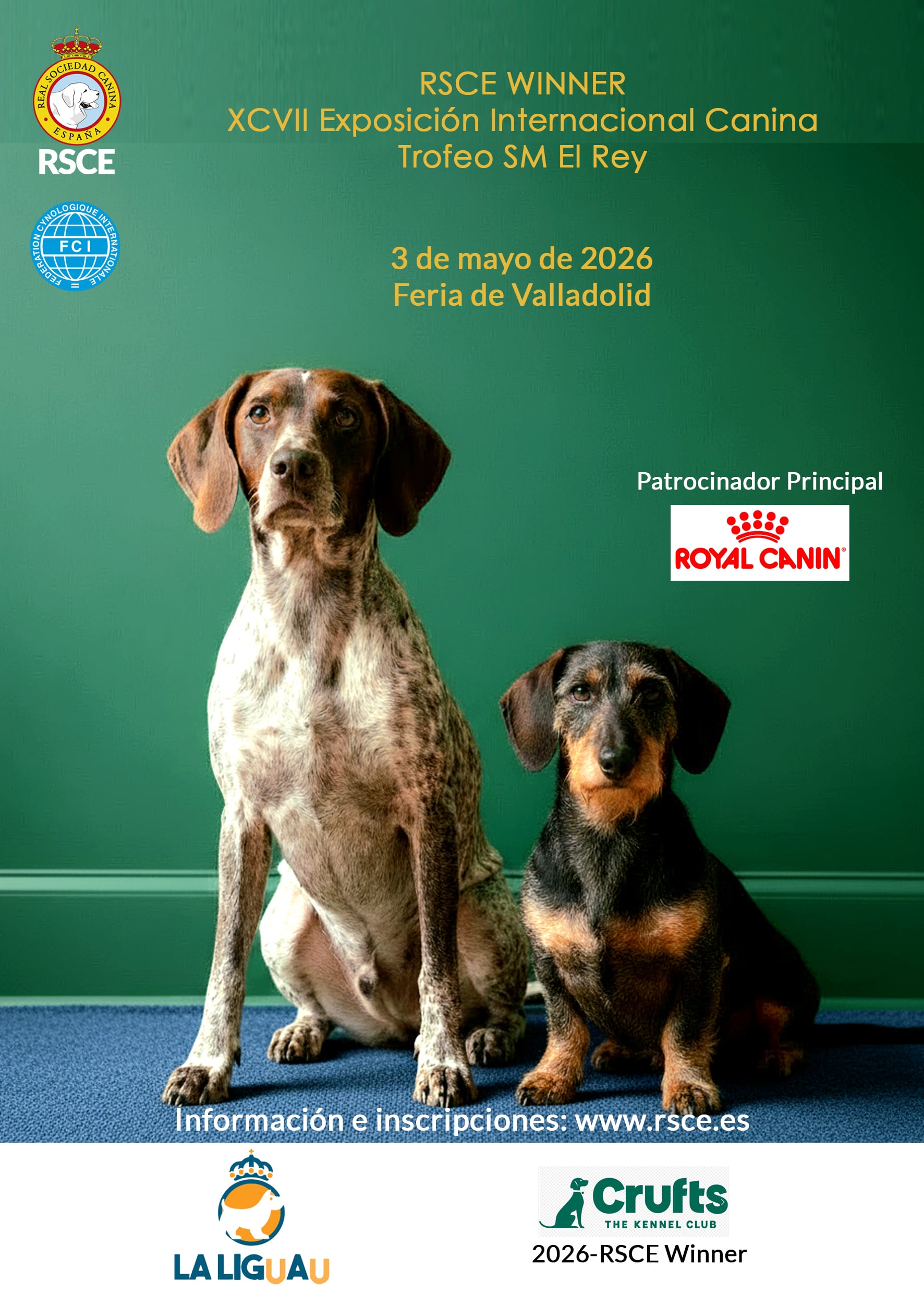 Cartel_catalogo_domingo