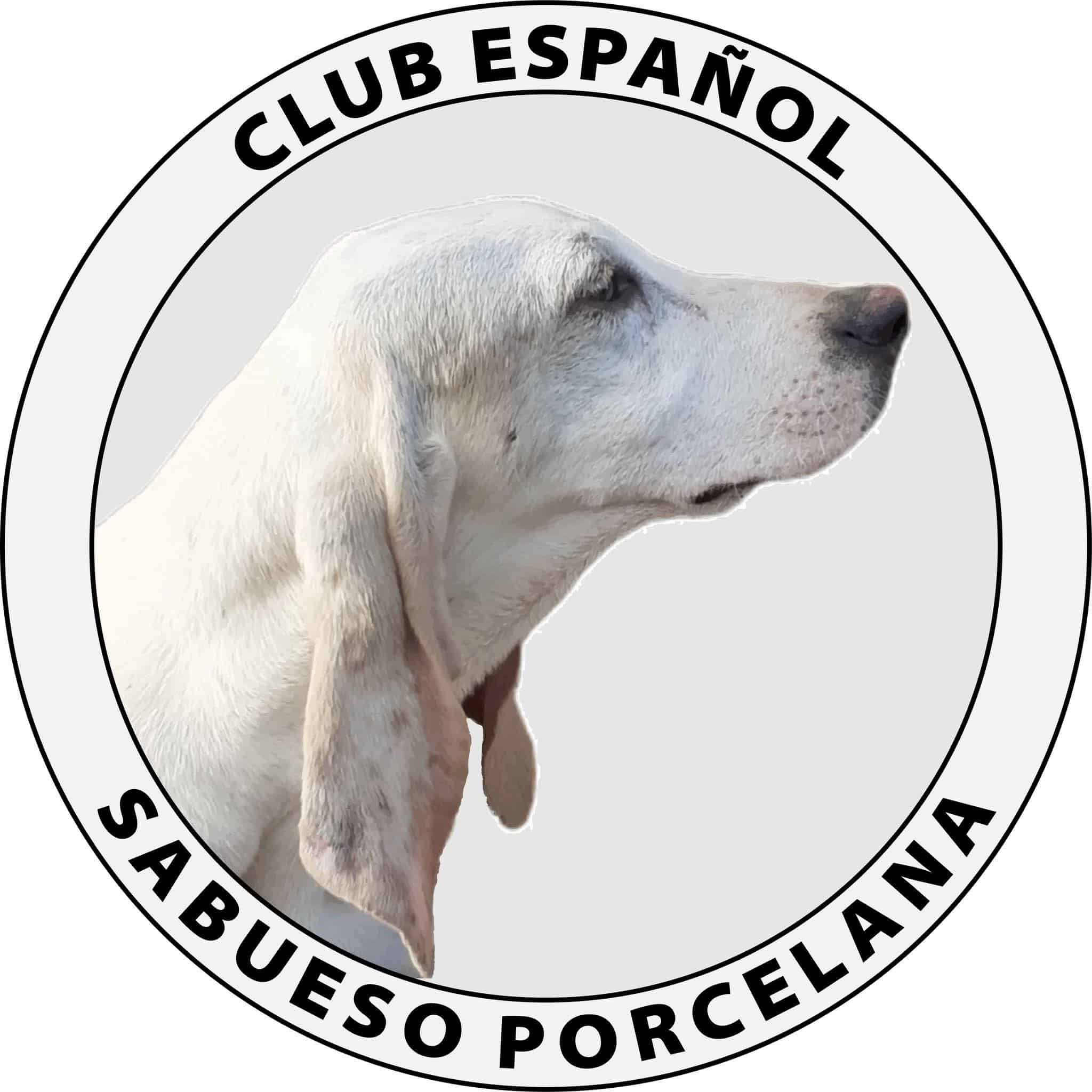 CLUB ESPAÑOL DEL SABUESO PORCELANA