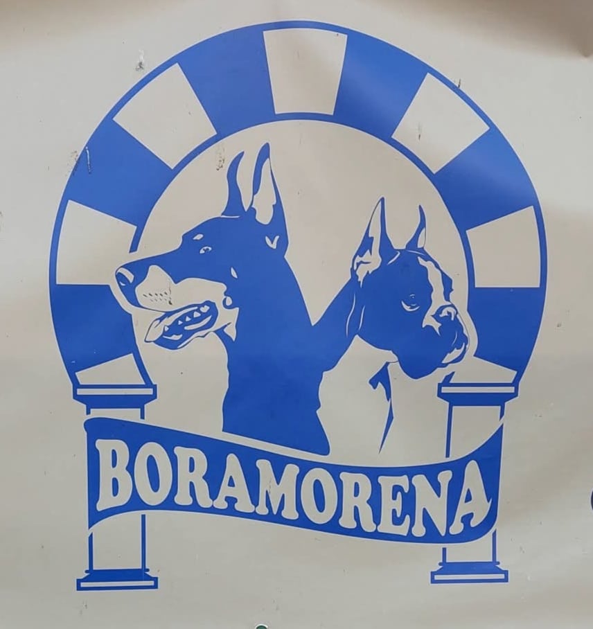 DE BORAMORENA-logo
