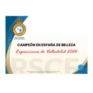 Título de Campeón en España de Belleza de la RSCE (según condiciones exposiciones Valladolid 2026)