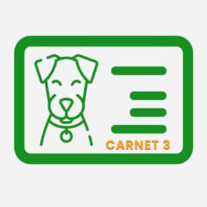 Carnet de Trabajo 3º (LBO/RBR) - Perros Rastro Grupo 6