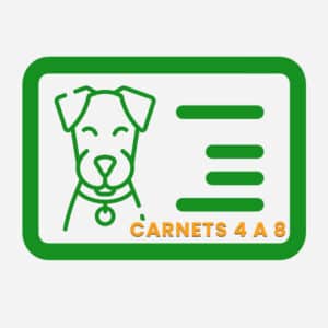 Carnet de Trabajo 4º a 8º (LBO/RBR) - Perros Rastro Grupo 6