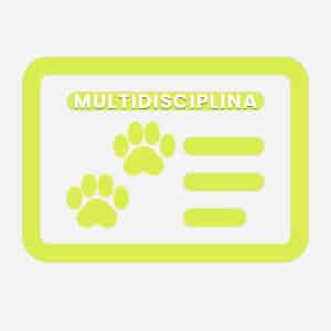 Licencia Multidisciplina de Agility