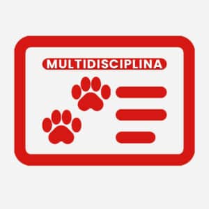 Licencia Multidisciplina de Búsqueda y Rescate
