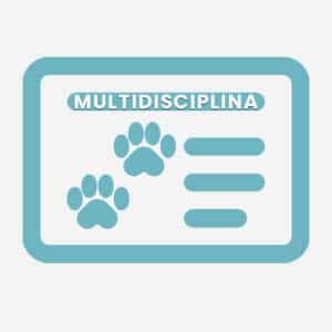 Licencia Multidisciplina de Mondioring