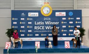 Valladolid-Int-mayo26 - Infantiles