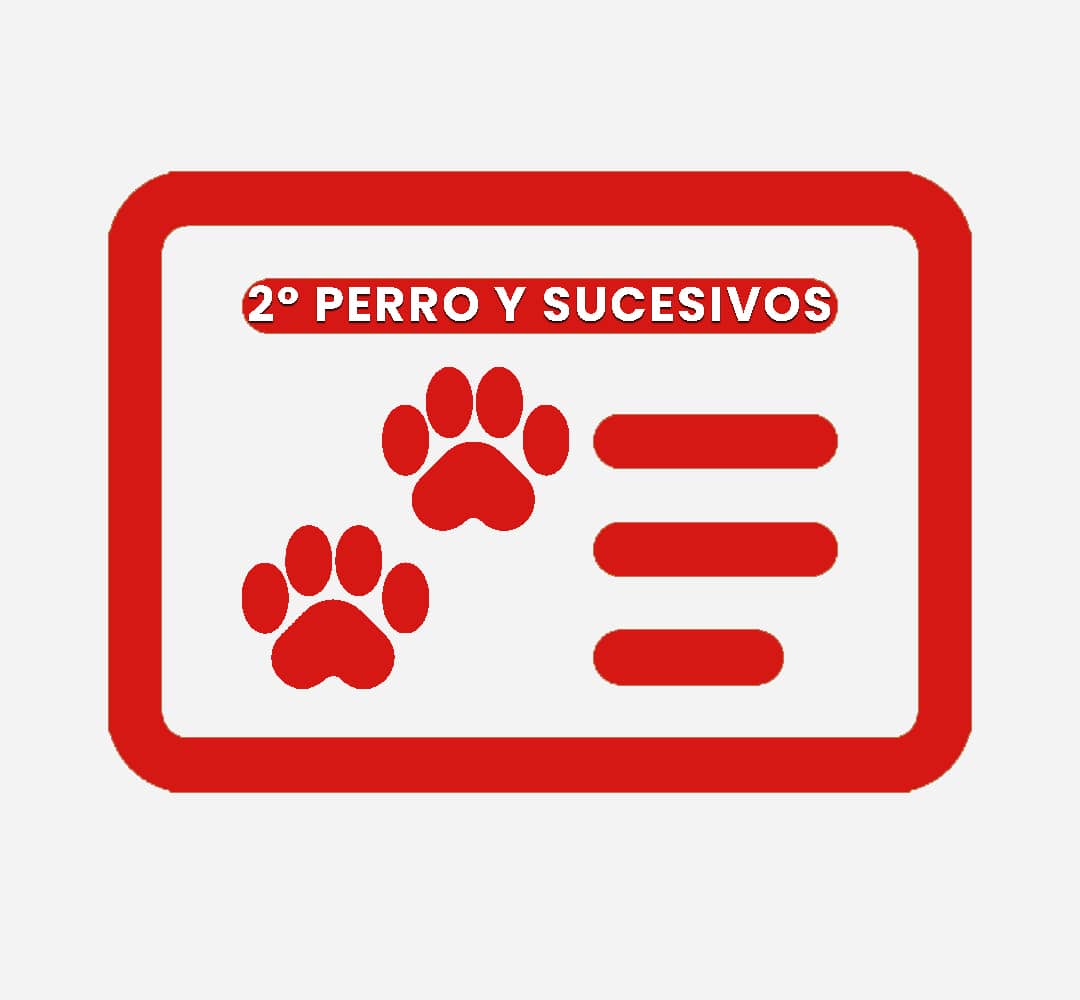 Licencia 2º perro y sucesivos de Búsqueda y Rescate