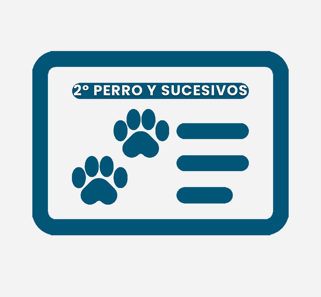 Licencia 2º perro y sucesivos de Rescate Acuático Deportivo