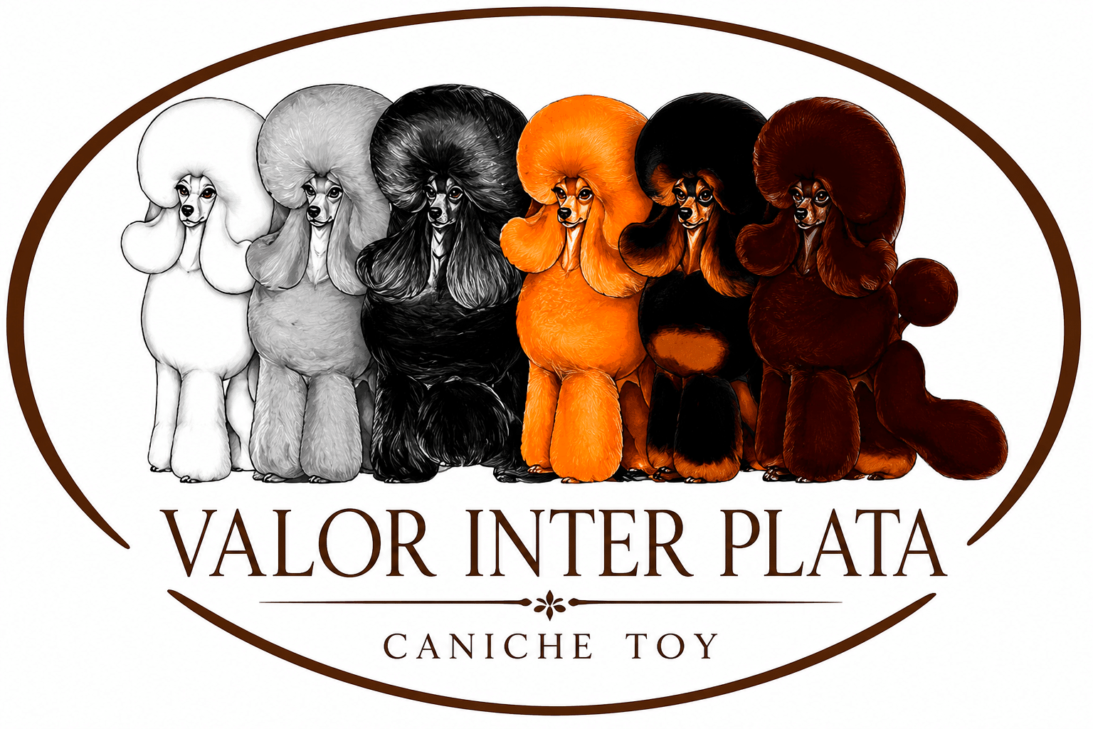 VALOR INTER PLATA-logo