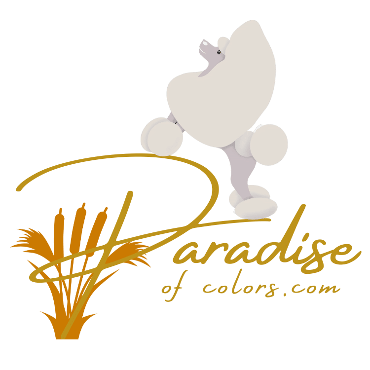PARADISE_OF_COLORS-logo