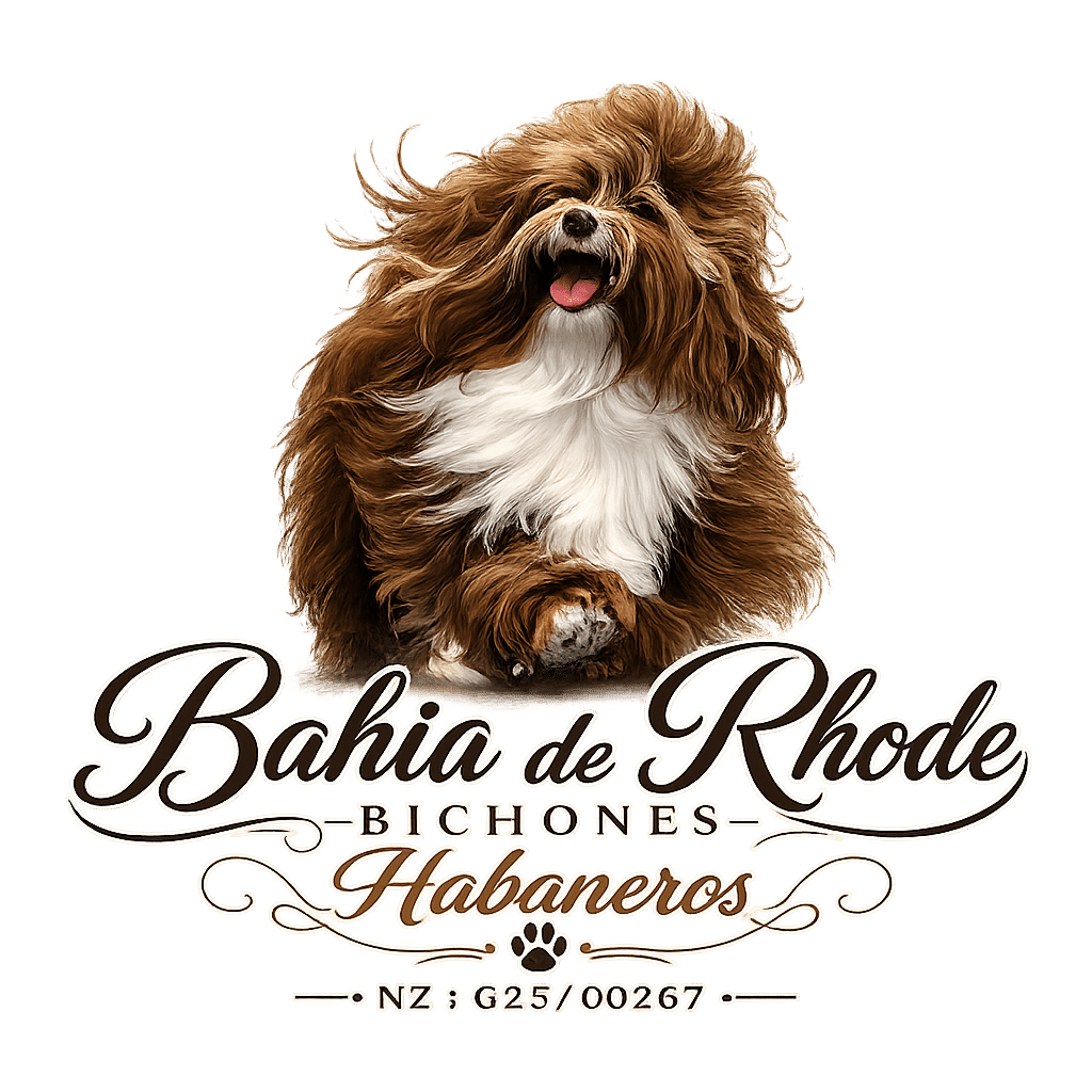 BAHIA DE RHODE-logo