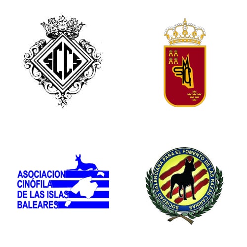 Imagen_formacion_curso_comisarios_Levante
