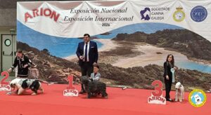 Exp. Int. Lugo mayo26 - Infantiles