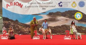 Exp. Nal. Lugo mayo26 - Infantiles