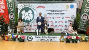 Exp. Int. Dos Hermanas sept26 - domingo Infantiles