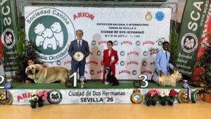 Exp. Int. Dos Hermanas sept26 - domingo Juveniles
