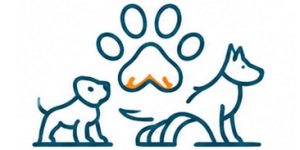 Icono_Agility3