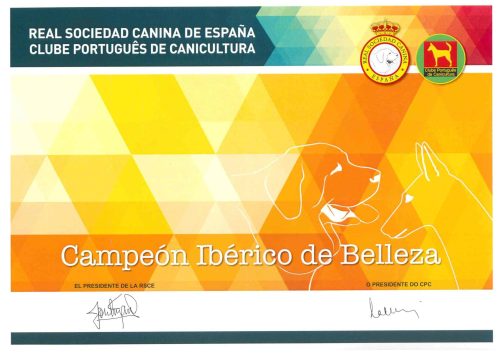 Titulo Campeon Iberico
