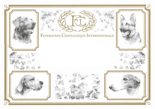 Titulo Campeon Internacional