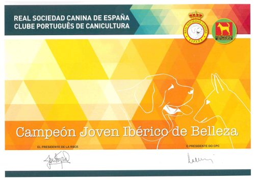 Titulo Campeon Joven Iberico